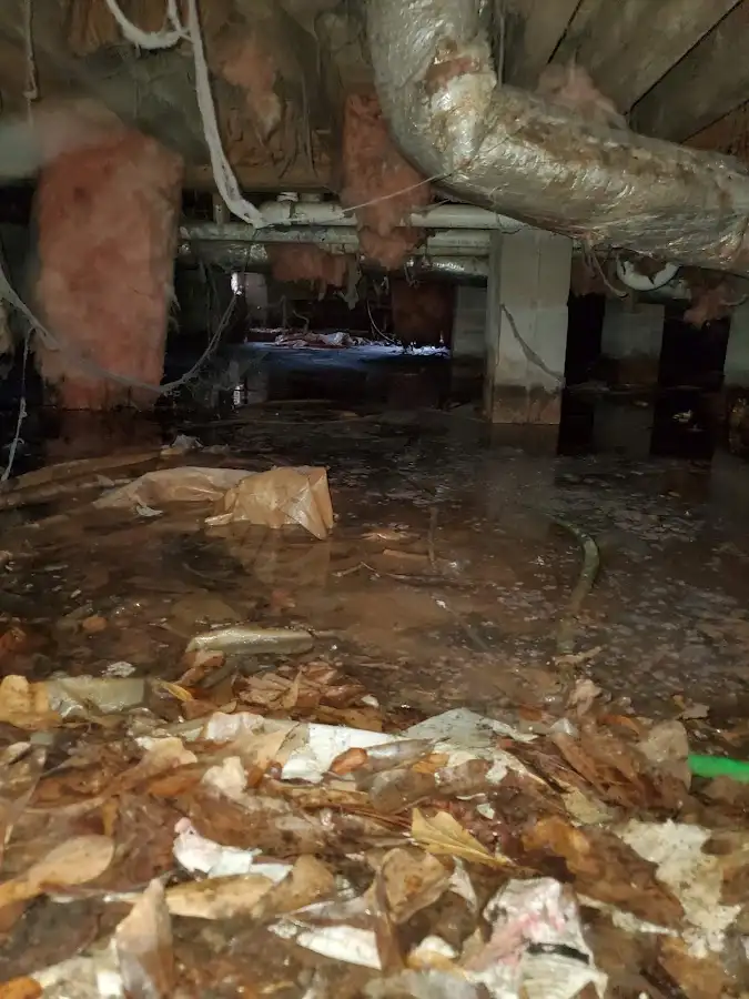 Crawl space flood assessment for Leak Detection & Repair in Garrison